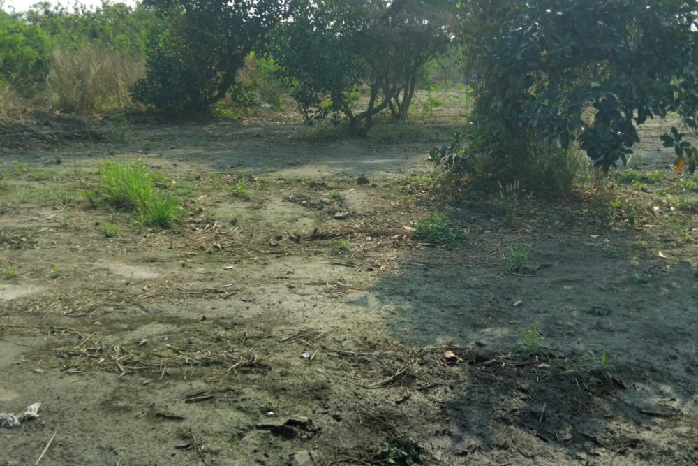 495168796_2196213857506337_6111027366082160922_n