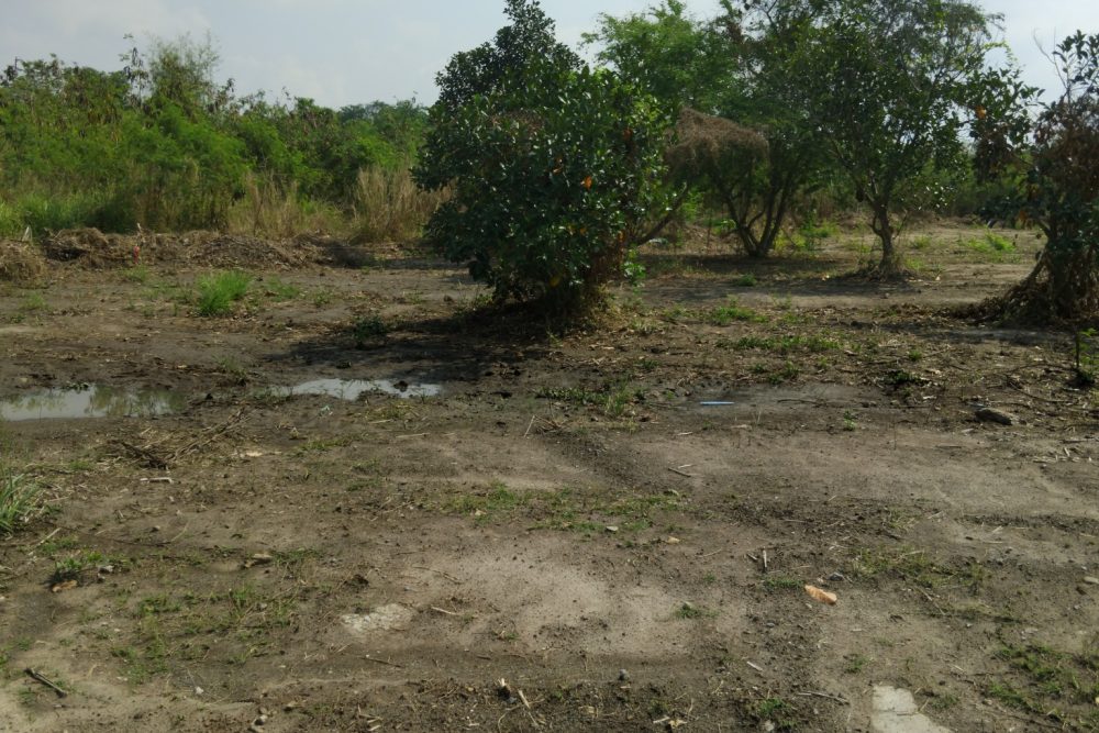 495203486_2196213640839692_4316212689331872751_n