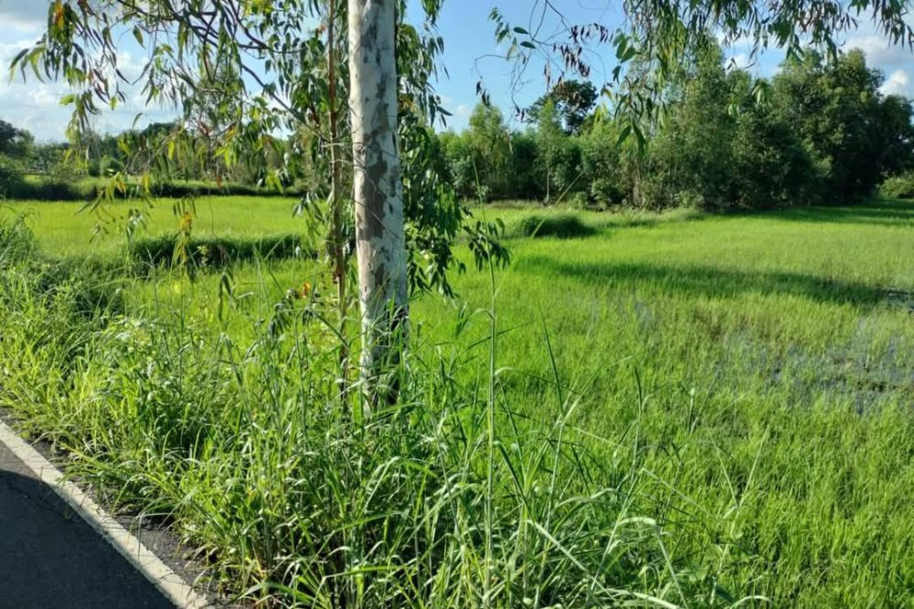 495211617_2157512768029722_5226964403644274063_n