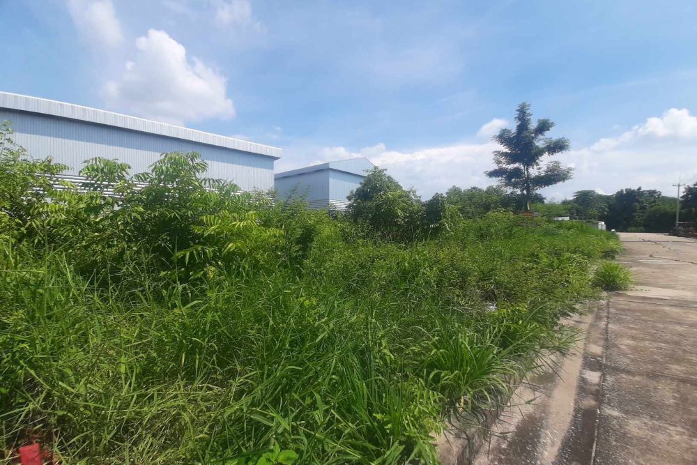 495539636_10171002171755315_5251902642403355450_n