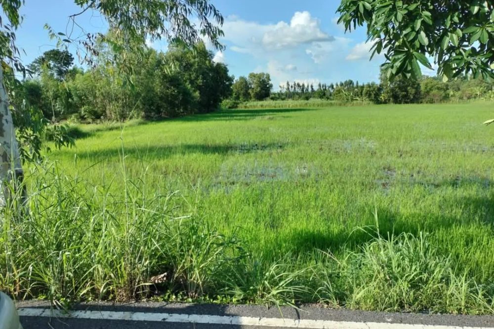 495589173_2157514348029564_6218576952473226498_n