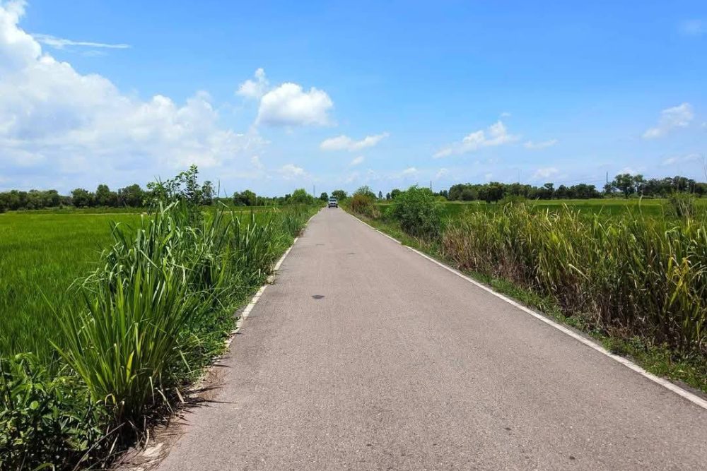 496011724_2157514234696242_1566351173210462905_n