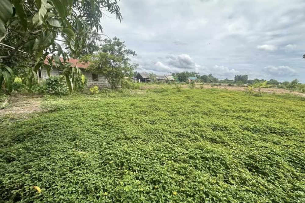 496229012_4143467155937152_8631173427479298209_n