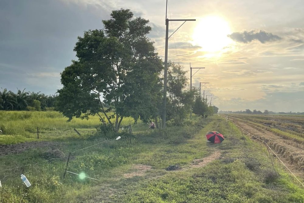 496253147_9404692316327156_6969200437338347949_n