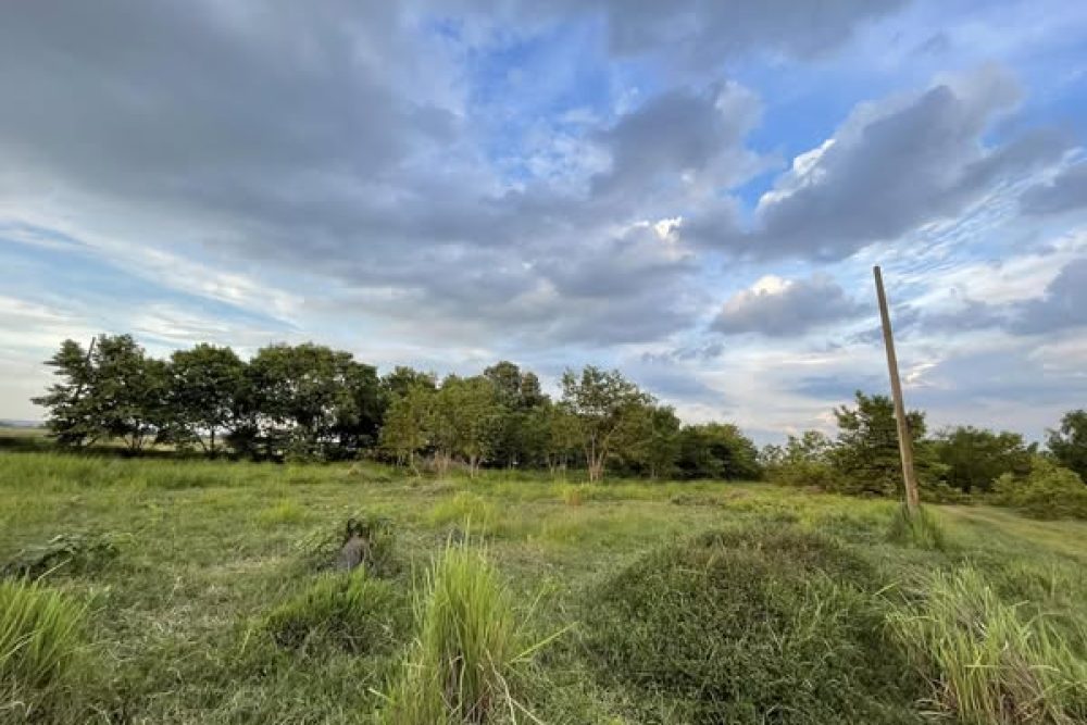 496407076_9404692296327158_916968744041807450_n