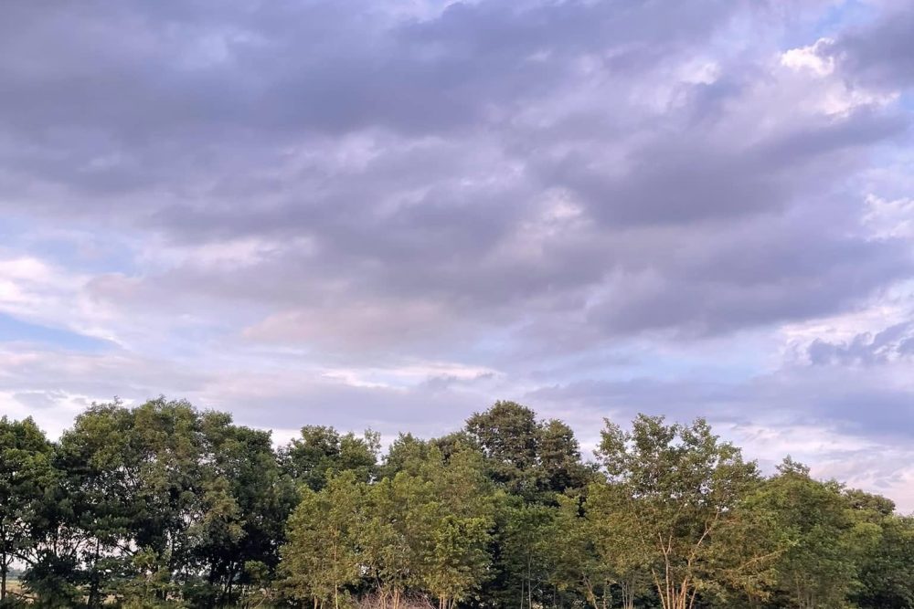 496588132_9404692066327181_8252403450782486126_n