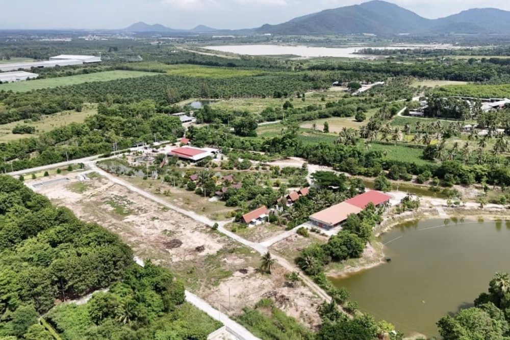 498540942_2957297997774369_5255062923672491895_n