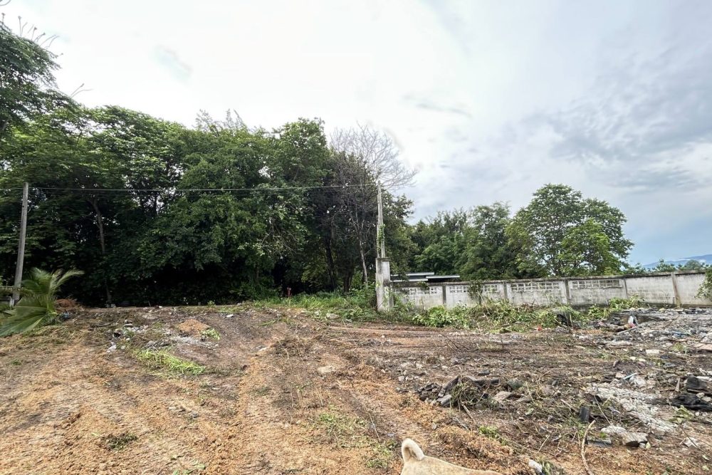 498586742_2705867802955680_4567091013163240356_n