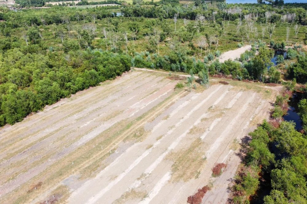 499758211_24021393300812489_3187505787457088293_n