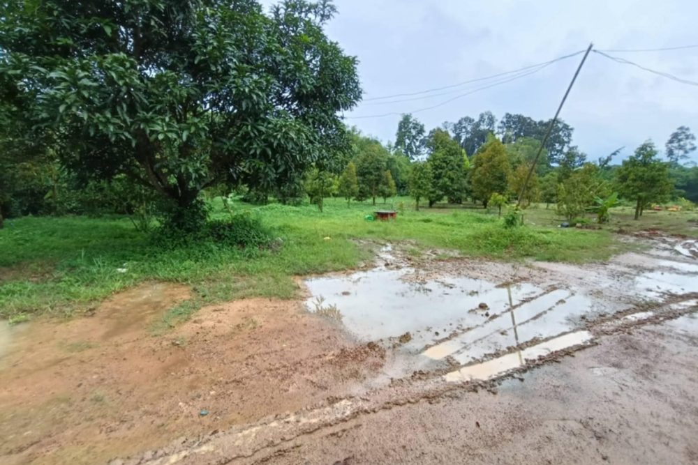 4b0696b6-90f4-44ee-b2ff-08fe6dce6b8a