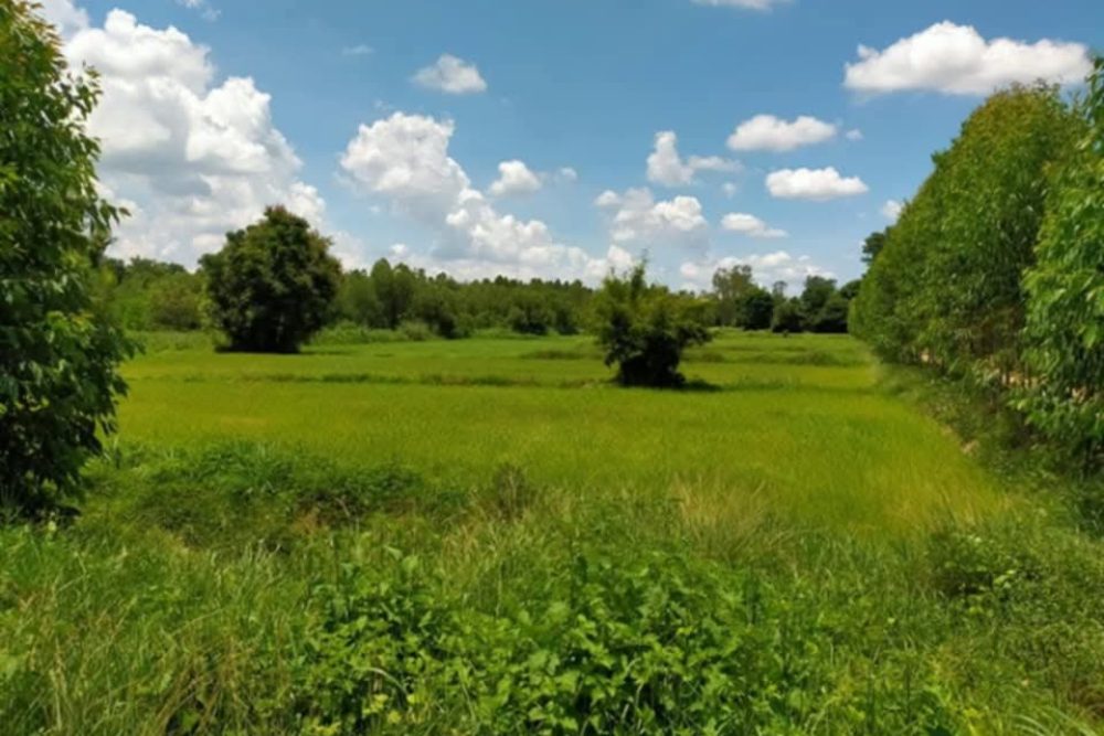 4ddbd8cc-8139-4504-a99b-783829aab5a8