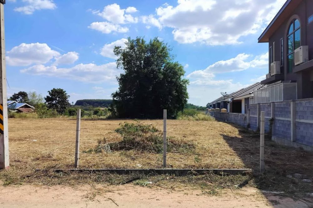 502585874_2744246999109061_8084209103991575940_n