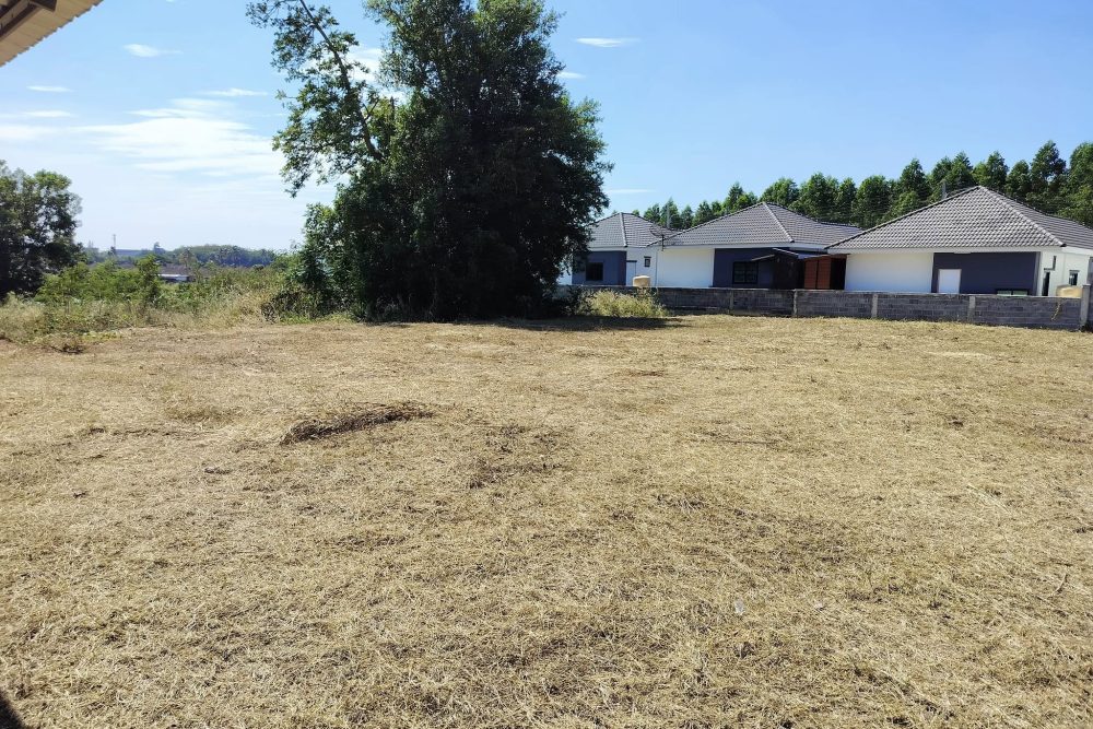 502619485_2744642135736214_8867716873435862603_n