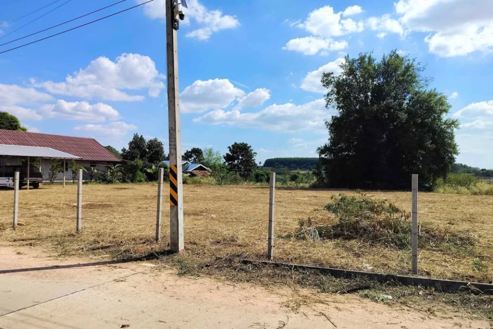 502620885_2744246959109065_1021957271132985111_n