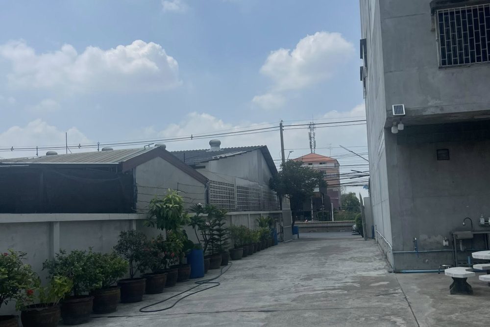 503800799_23963429413290478_7961661331462727331_n