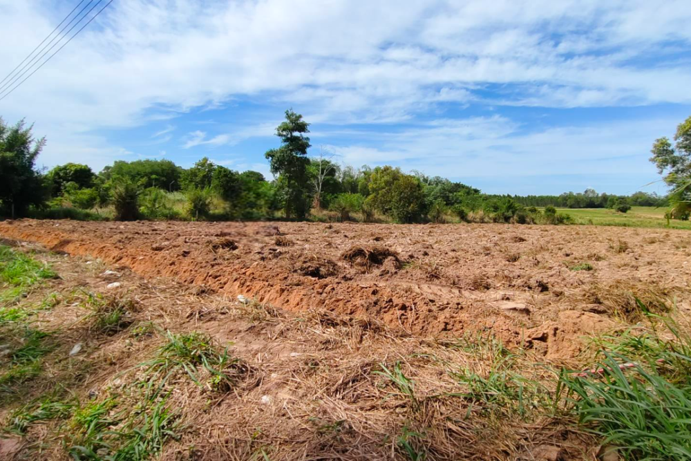 504049746_1482954359780418_3837080302156223252_n-Photoroom