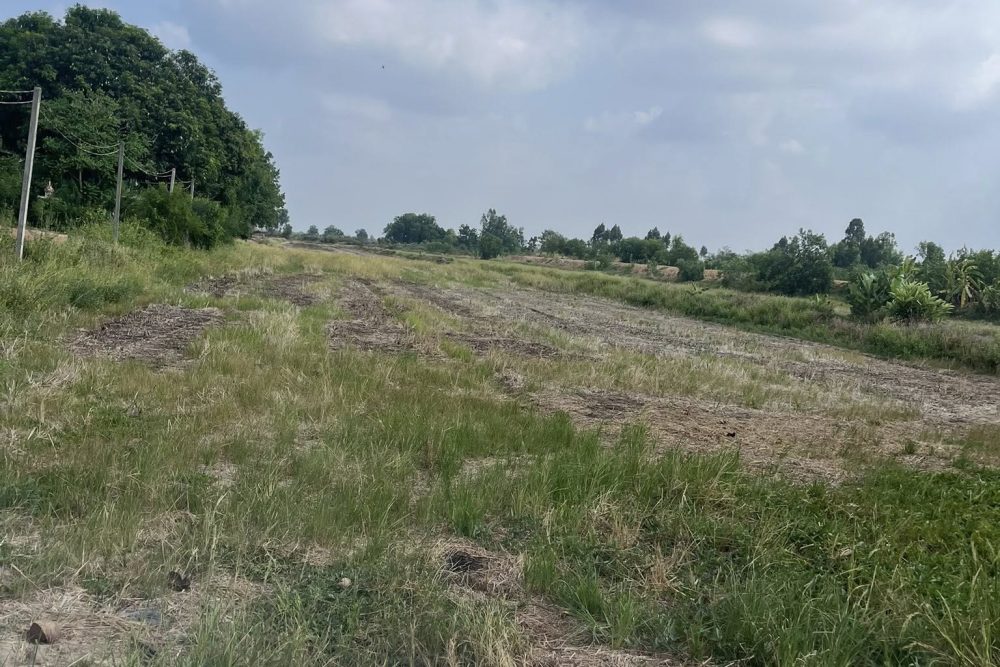 504376442_9905615812883854_4607228731695718382_n