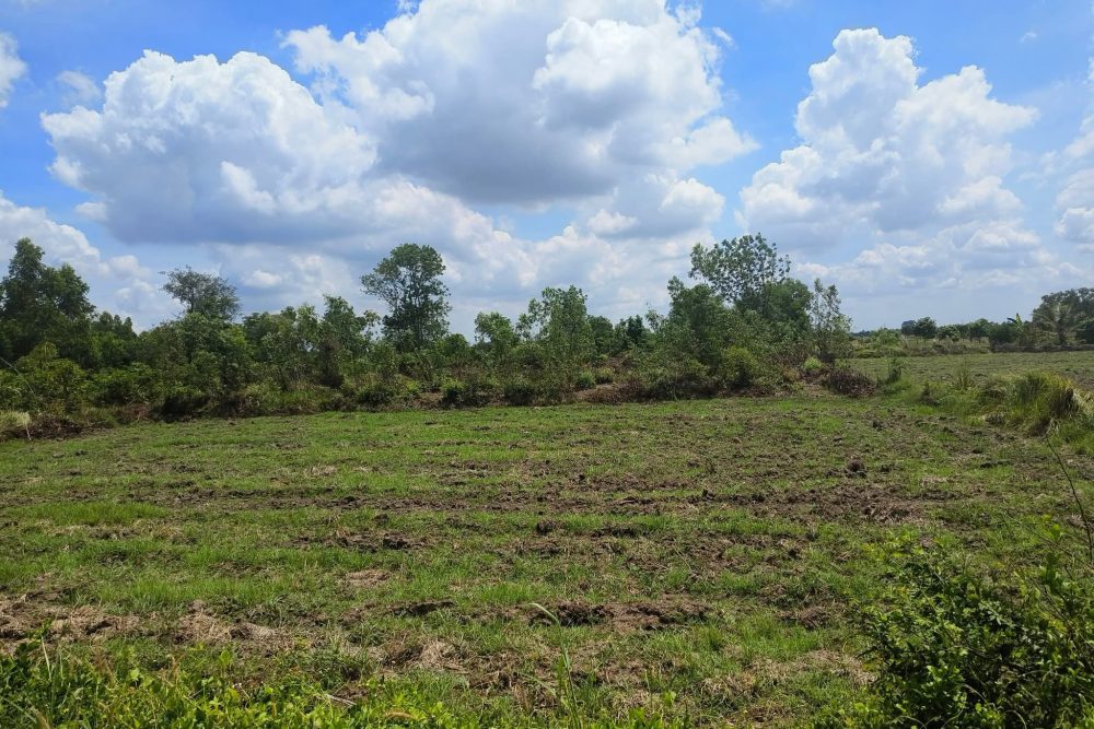 504723717_2183082335472765_4168271149496011873_n