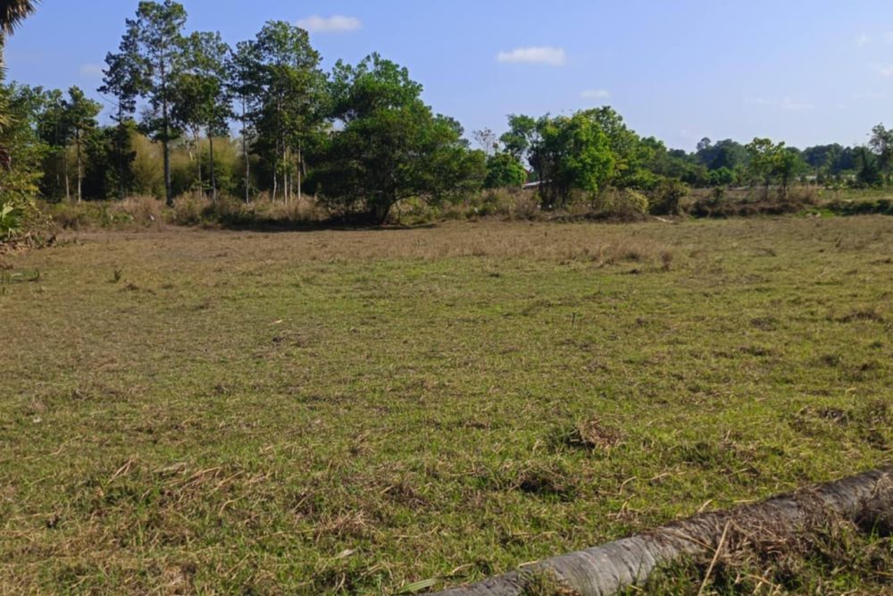 504982953_122235562316085152_69111994866775133_n