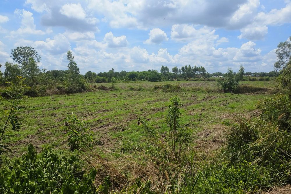 505675815_2183082408806091_2550690600231876665_n