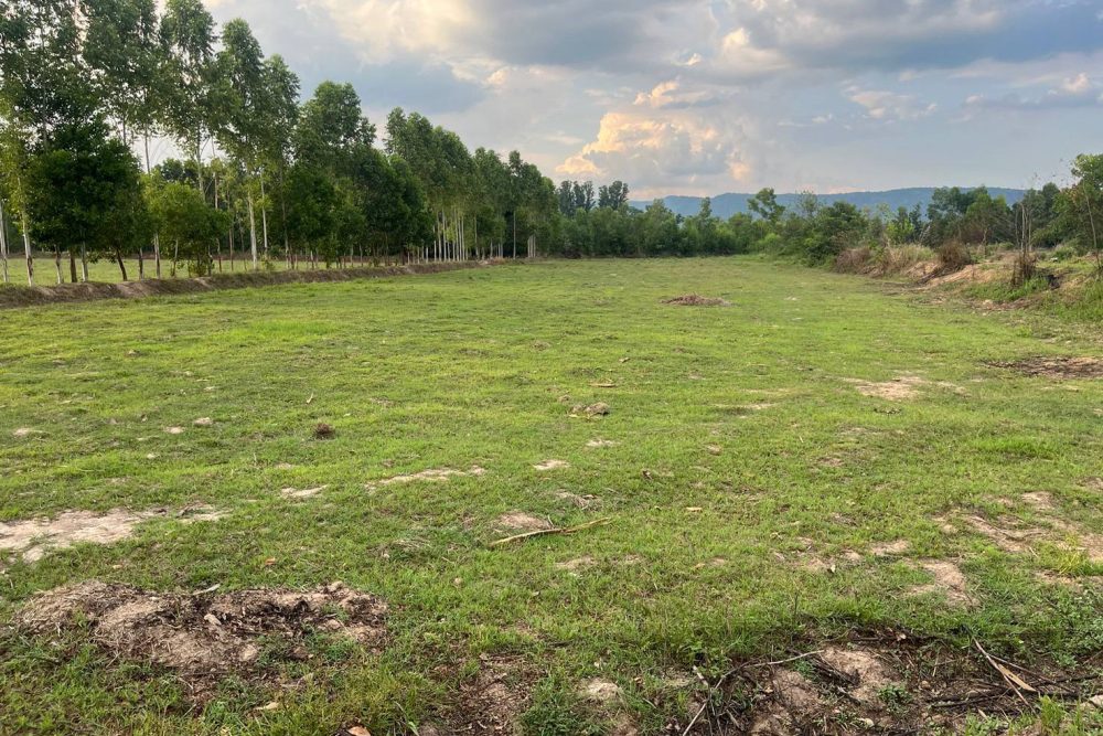 508503267_3874229456171899_6614793603546070067_n