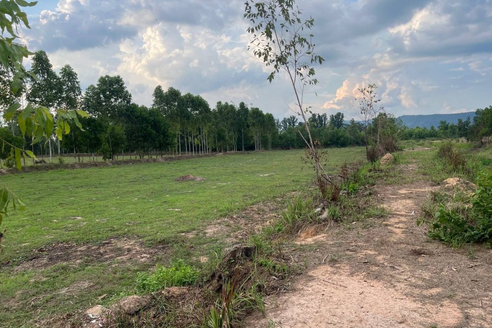 508616308_3874230446171800_8378948568850191060_n