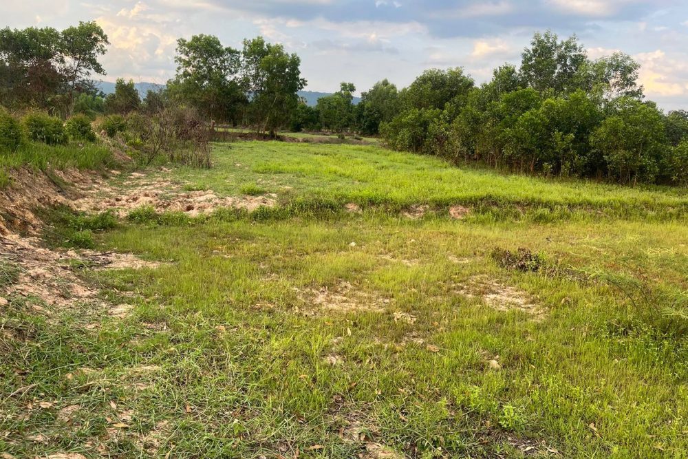 509184097_3874229592838552_8439961009266350721_n