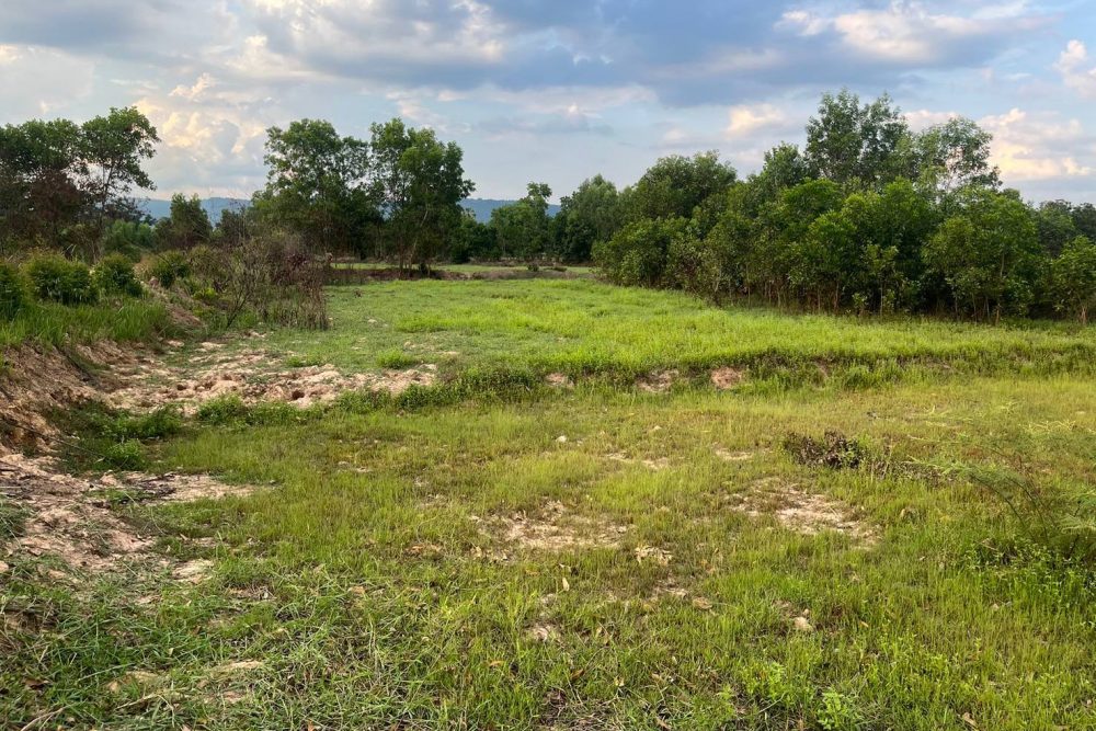 509266323_3874229742838537_1430491448531768155_n