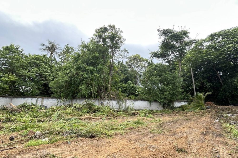 509312894_2705867319622395_3178893862731290883_n