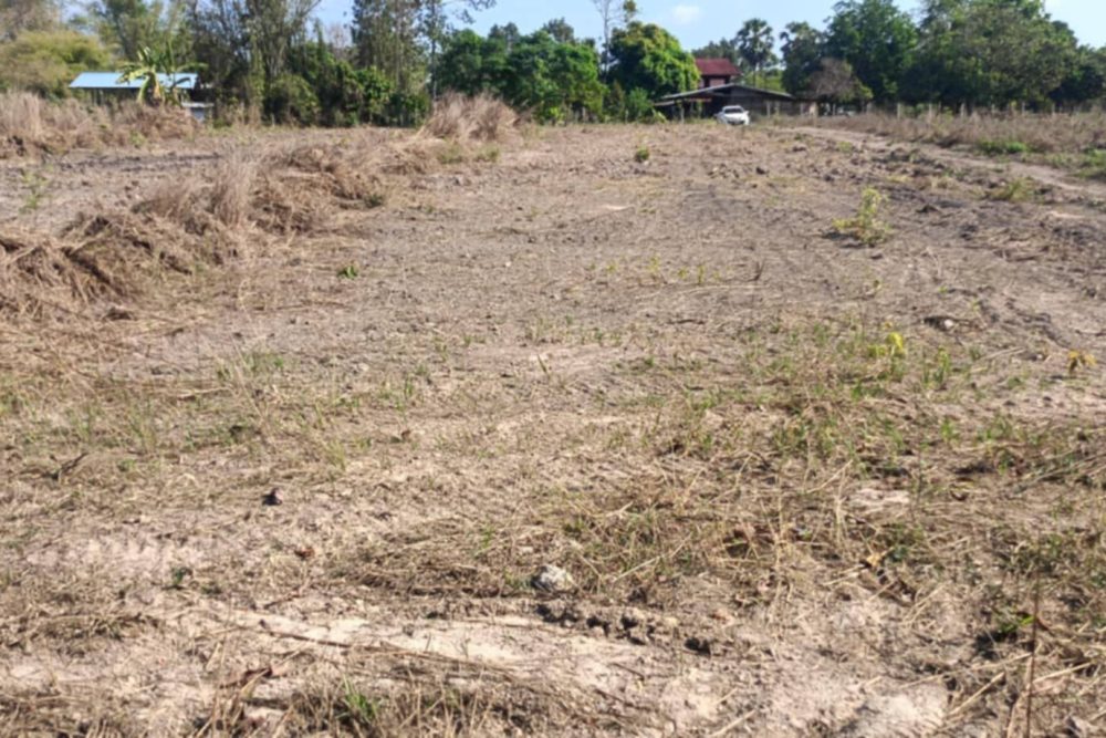 510480984_122238461204085152_6027570622336700585_n