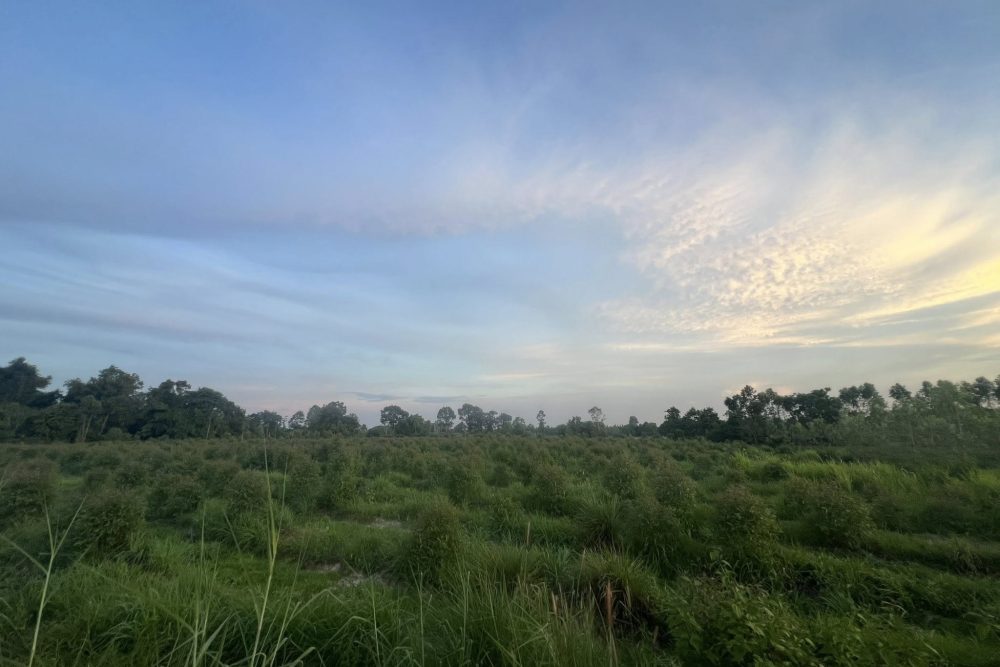 513947169_4207446782846284_5254716586054860399_n