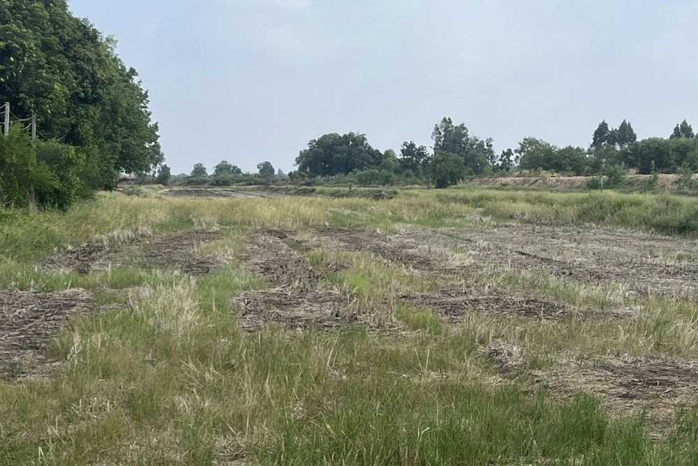 514346076_9905615976217171_8901675329253817465_n