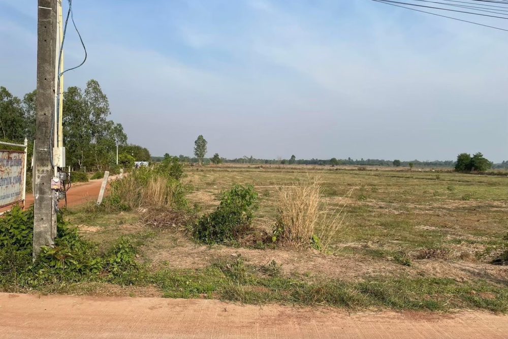 514421647_23865906896371950_1511045218378104634_n