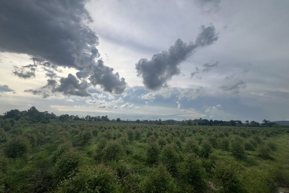 514484914_4208176716106624_2117435463373601402_n