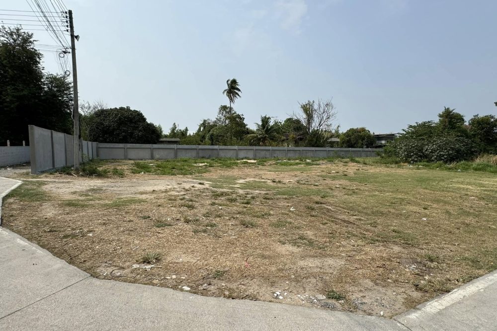 514626897_24118983791028739_3299743830951214420_n