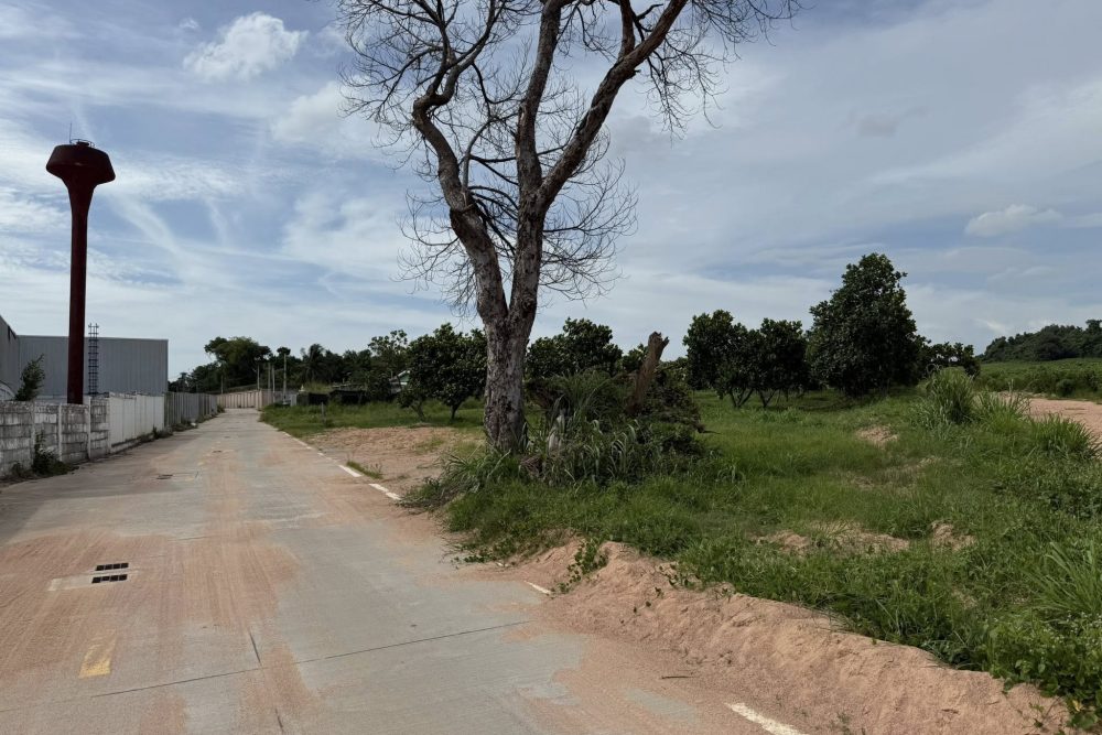 514700766_24005281175775191_6418625853895192467_n