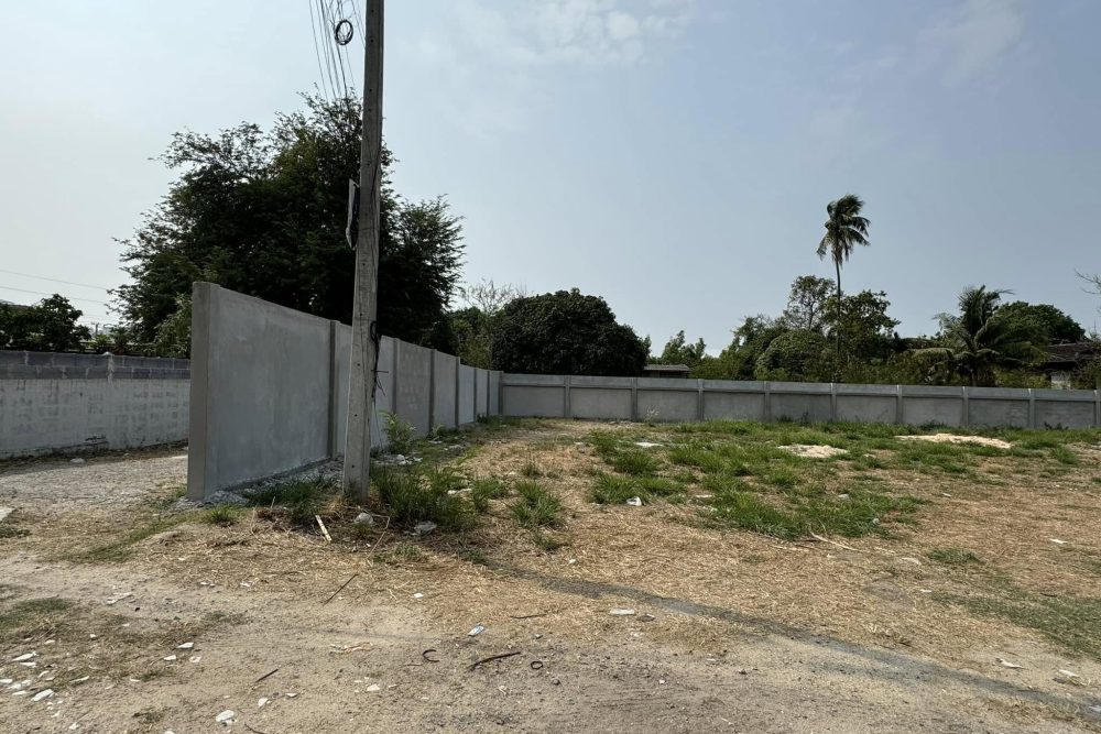 514953726_24118984041028714_1413940622473841619_n