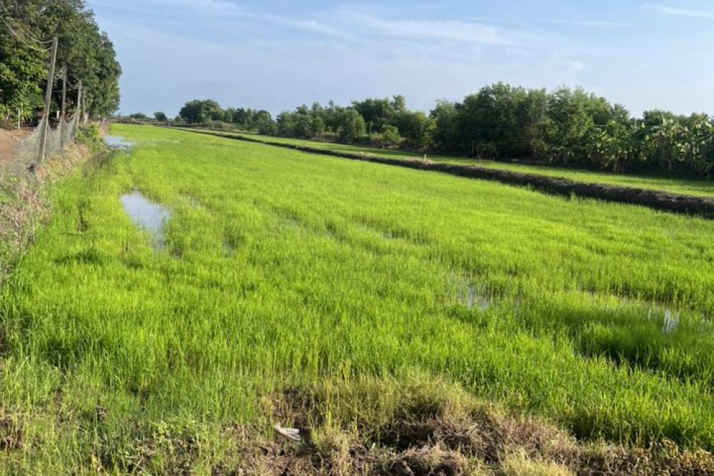 515073077_9905609422884493_2810532539950132158_n