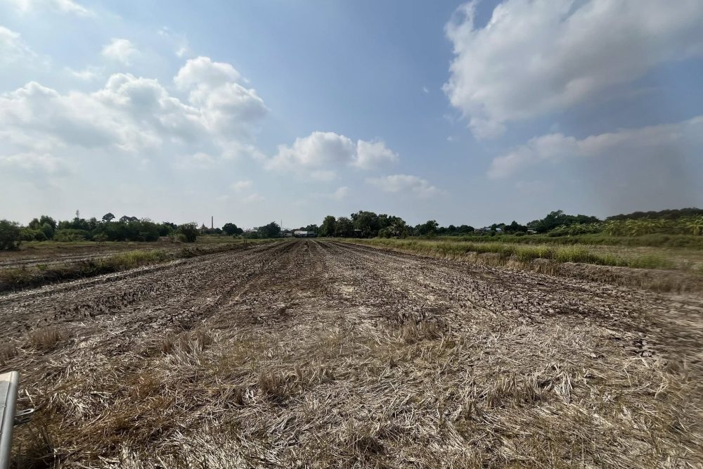 515485207_9905616259550476_1548240123742954820_n