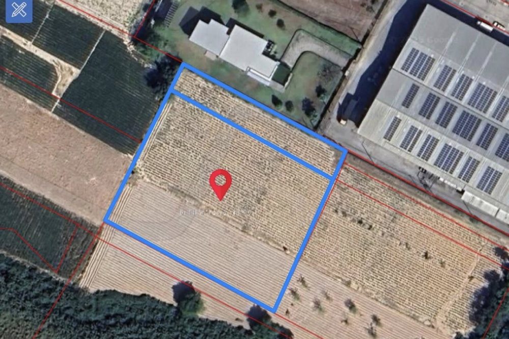 516738935_3995576880660306_788393044271966360_n