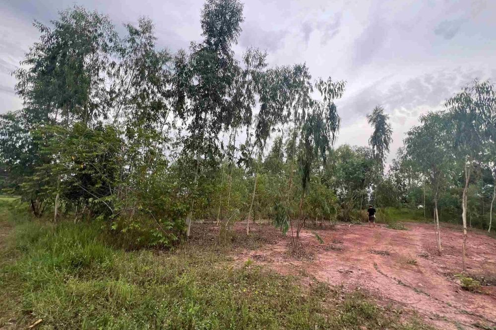 517225289_24907026705564081_1907697184467760589_n_11zon