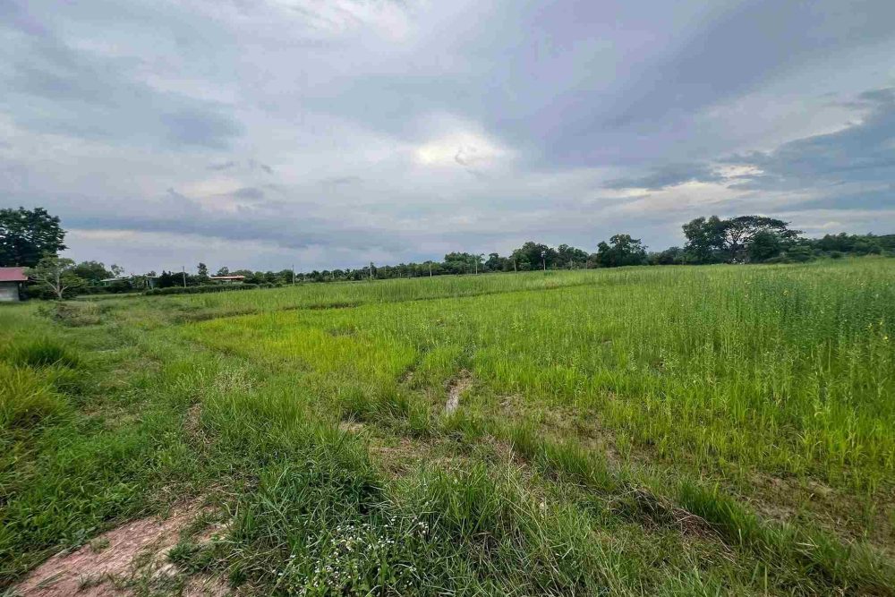 517404627_24907026615564090_3550260605323931119_n_11zon