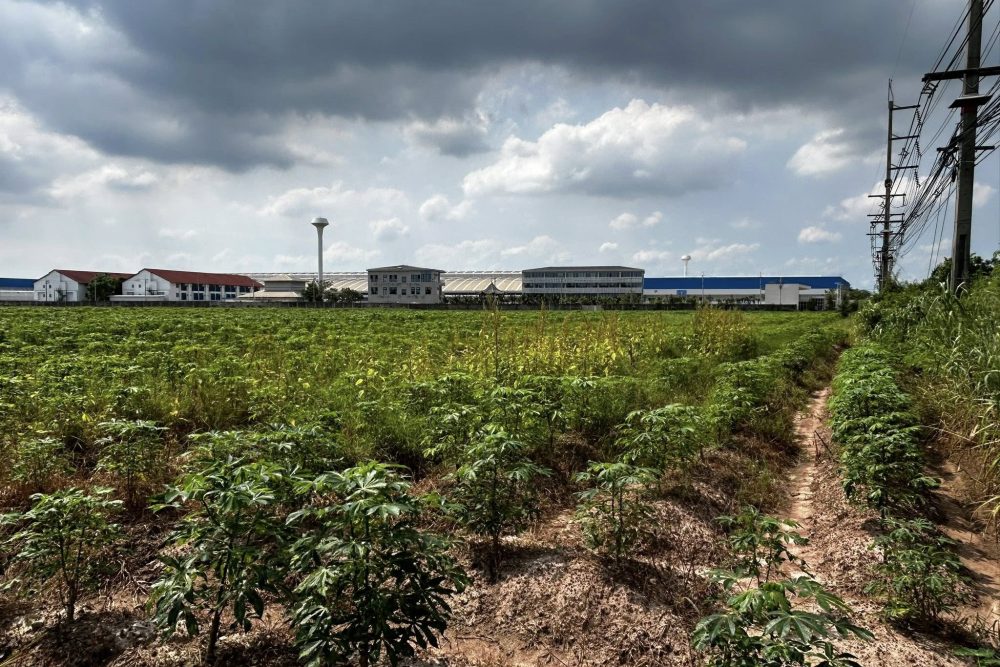 517642082_1935408130624364_7225797139740796332_n