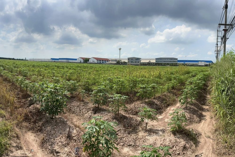 518056429_1935408187291025_2169417662694834517_n