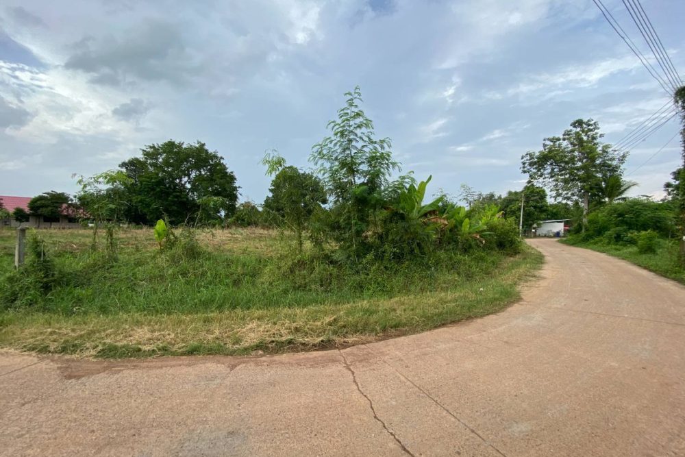 518338043_24676143808645543_4090779465746713375_n