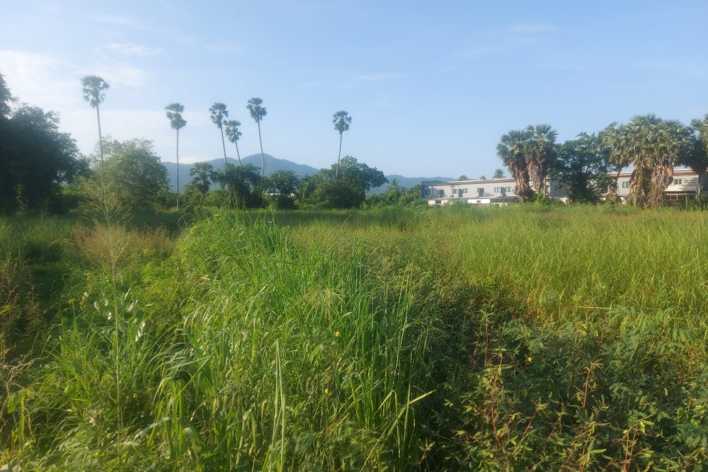 518375127_2234667663636129_4418317689261189658_n