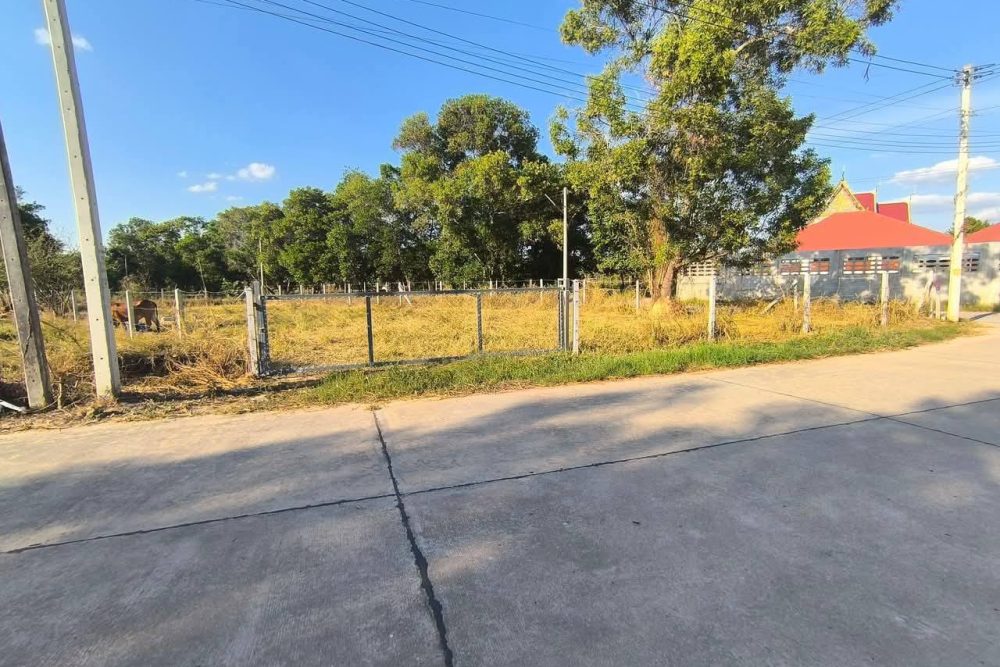 518948310_1266356871702616_7197401777559657238_n