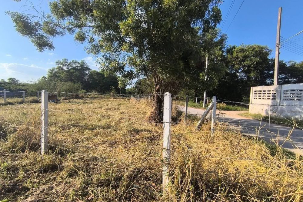 519650768_1266356795035957_6683958066757722421_n