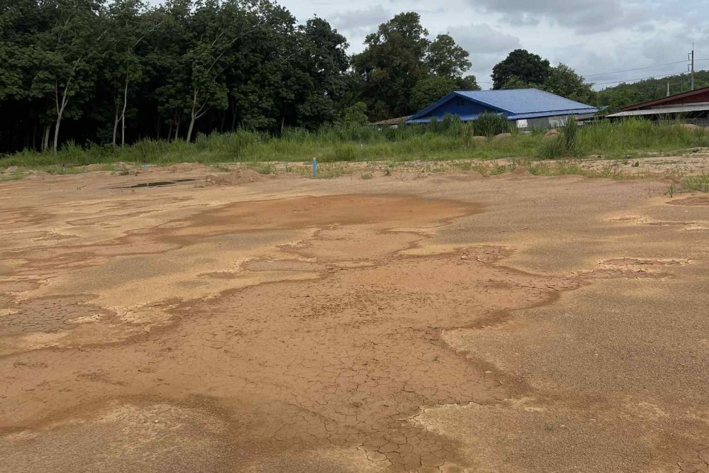 51be8a78-64c1-47b4-8bce-9c2124f1be31