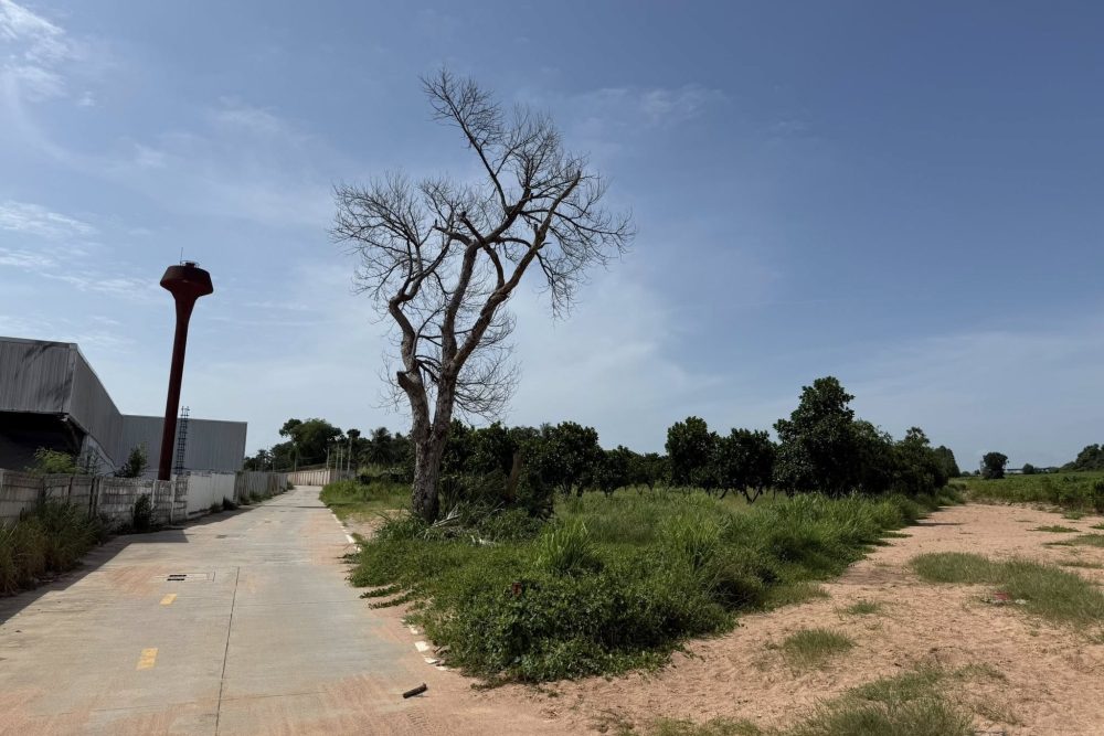 520050066_24129503723352935_8489728450286431268_n